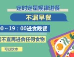 2030年中国成人超重肥胖率或达70.5%：健康减肥饮食指南发布
