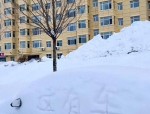 黑龙江省发布暴雪红色预警，鹤岗特大暴雪破历史纪录，交通逐步恢复