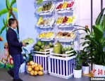 古巴驻华大使品尝海南特色水果，赞不绝口并寻求合作机会