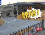 黑龙江勃利县老虎进村伤人事件：伤者家属讲述经过，律师解读维权途径
