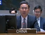 联合国安理会关注苏丹人道危机：中国呼吁加大援助力度，停火止战是关键