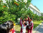 九亭五小秋日活动：师生沉浸式体验丰收喜悦，果园采摘、制作果酱乐趣多