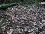 云南哀牢山因博主视频走红，国庆假期人满为患引关注