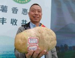 2025年惠东县马铃薯文化节：4.04斤薯王诞生，惠和山农业分享种植秘诀