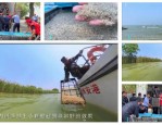 五月立夏接小满蟹苗投放正当时，乌溪镇打破20年采购传统深夜接苗