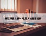 巨型野猪比赛时间,最大的野猪视频