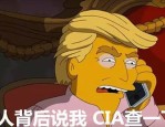 美国前总统特朗普遭遇未遂刺杀事件，CIA 罕见回应传言
