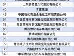 2024 山东百强企业名单发布，青岛头部企业表现稳健