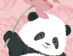 兴业银行推出熊猫基地和花借记卡，绿色竹林与粉色荷花版设计受追捧
