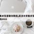武大美术生录取分数线,武汉大学美术生录取分数线2021