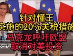 法国应对美加征关税：多种措施，马克龙呼吁暂停对美投资