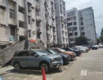 深圳首个自拆自建项目红岗花园：同意率超 90%，但推进缓慢引关注