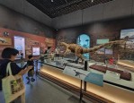 浙江·福井恐龙大展：中日恐龙化石齐聚杭州，展览持续至明年 2 月
