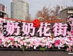 杭州新春花天桥亮相，奶奶花街由银龄志愿者手工打造