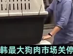 韩国最大狗肉市场关停，将变身宠物福祉中心或咖啡厅
