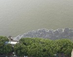5月20日湘江突现黑色污水，住建局回应系排渍所致