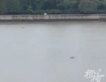 钱塘江惊现神秘黑影，是水怪还是无人船？真相扑朔迷离