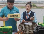 当涂邮政直播助蟹农，金秋蟹香跨越千山万水