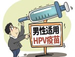 男性HPV疫苗国内获批：9-26岁男性可接种，专家称锦上添花