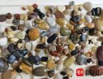 南京雨花石受宠引野采热潮，社交平台助推探险捡宝新潮流