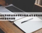 山东劳动职业技术学院分数线,山东省劳动技术职业学院录取
