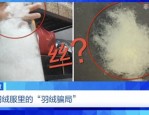 央视曝光羽绒制品造假乱象，中国羽绒工业协会发布消费提示