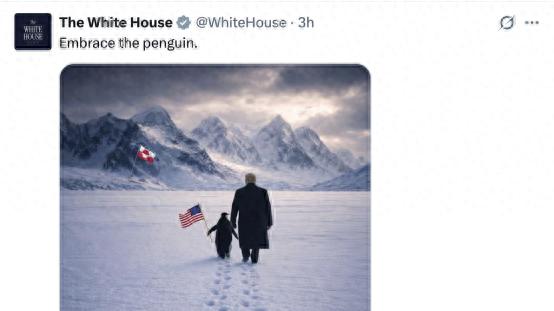 企鹅岛最后玩成什么样__企鹅岛布局