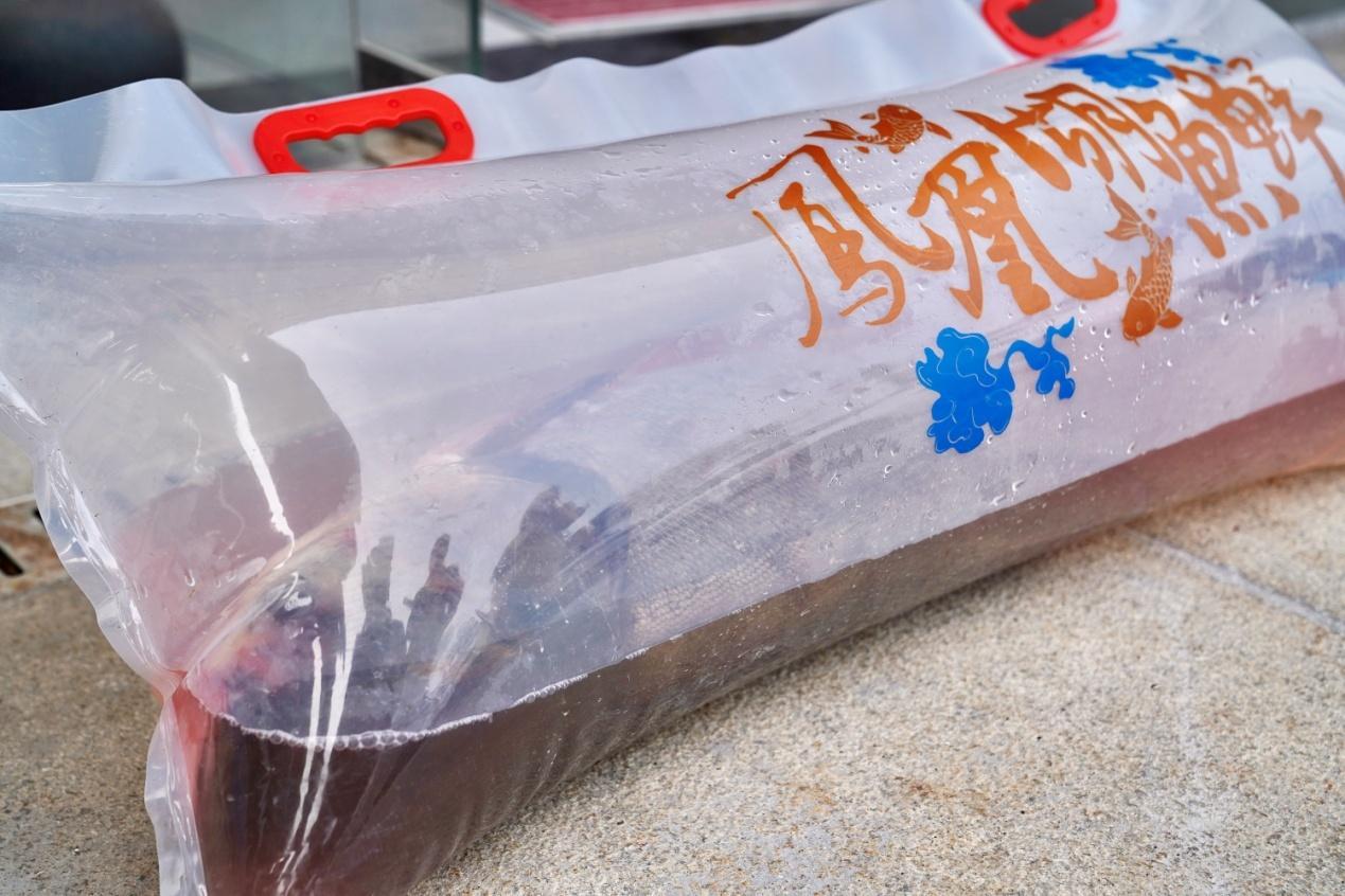 _你的样子|“阿姨,谢谢您!”一次买鱼,一场双向奔赴_你的样子|“阿姨,谢谢您!”一次买鱼,一场双向奔赴