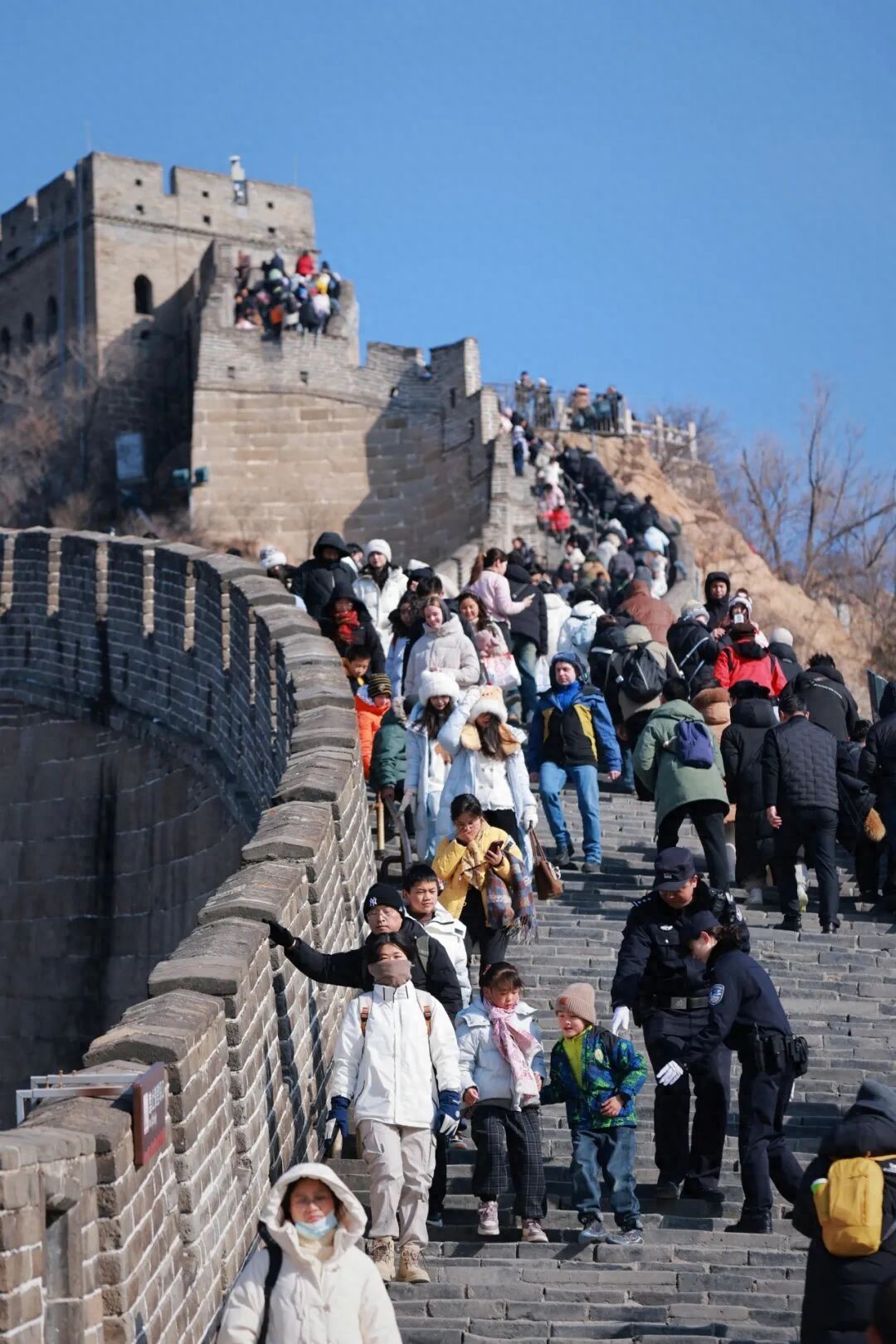 安徽警官职业学院警体队__有舵雪橇视频冬奥