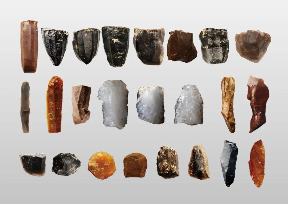 蛋壳鸵鸟发现前2.6个蛋_鸵鸟蛋壳是什么颜色的_