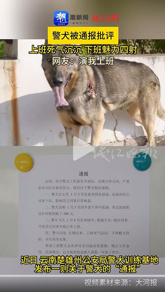 云南省公安厅通报表扬_表彰英雄民警的通报_