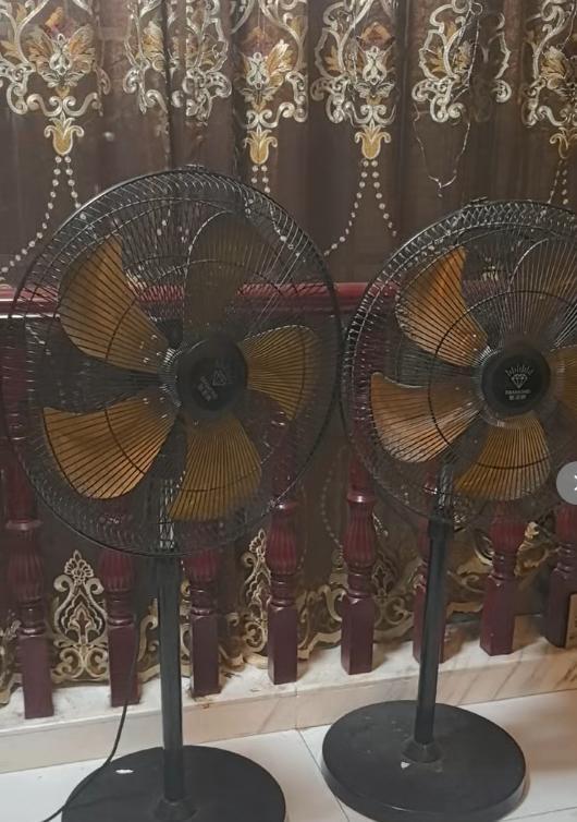 _电风扇网购好还是实体店好_网上风扇