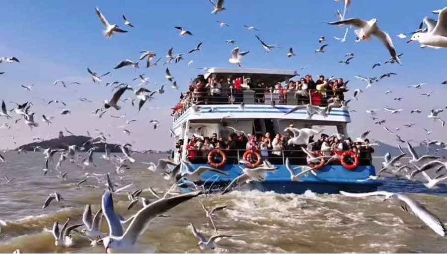 _无锡市换乘优惠政策_无锡换乘免费