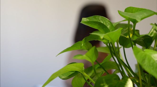 上海律师上门一般多少钱__上海律师妻子