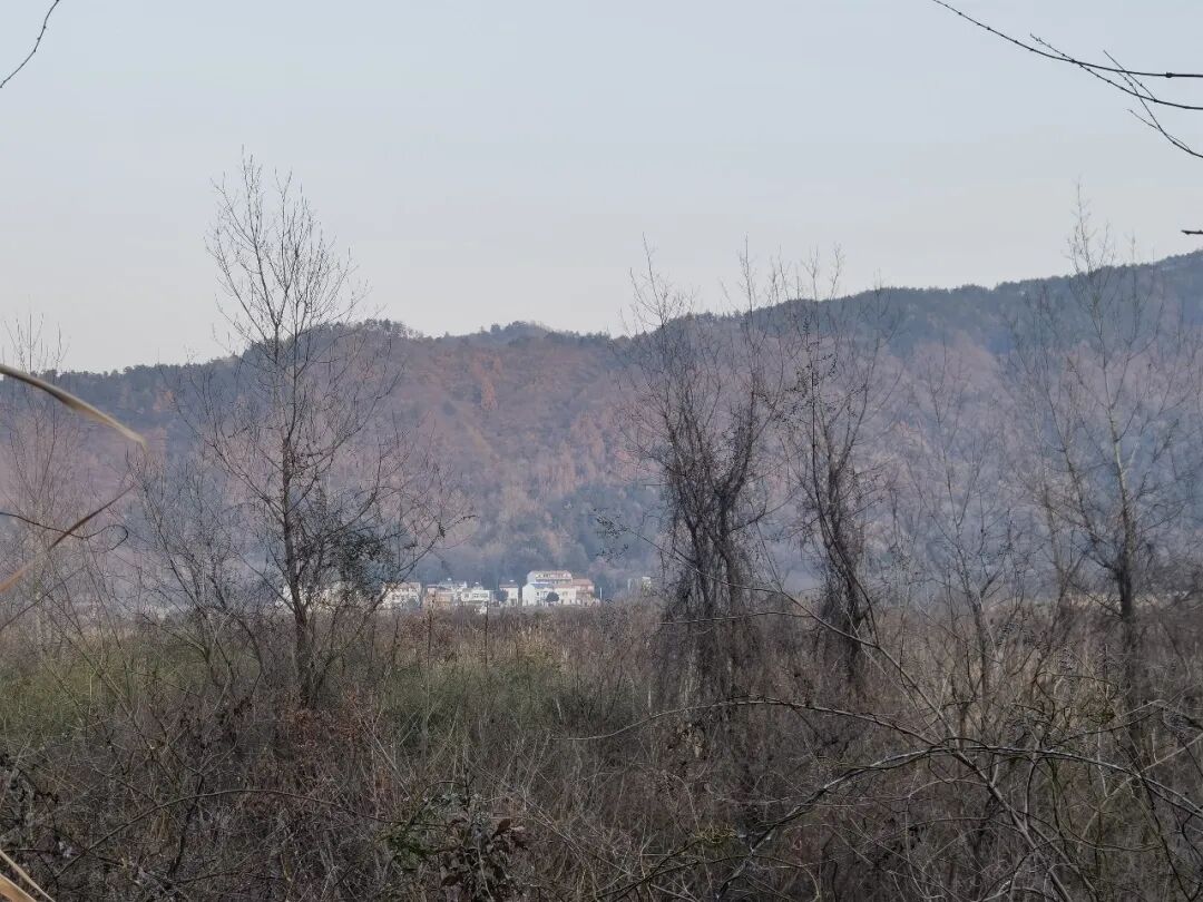 源泉新村__源泉村属于哪个镇