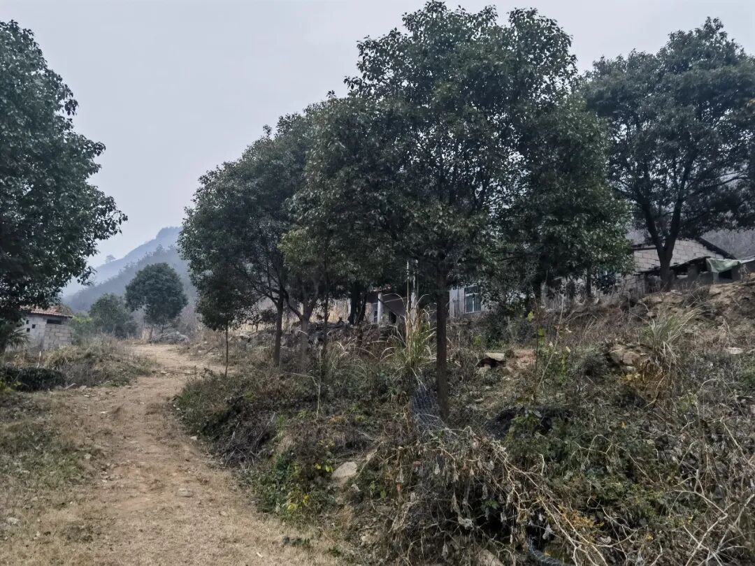 源泉村属于哪个镇__源泉新村