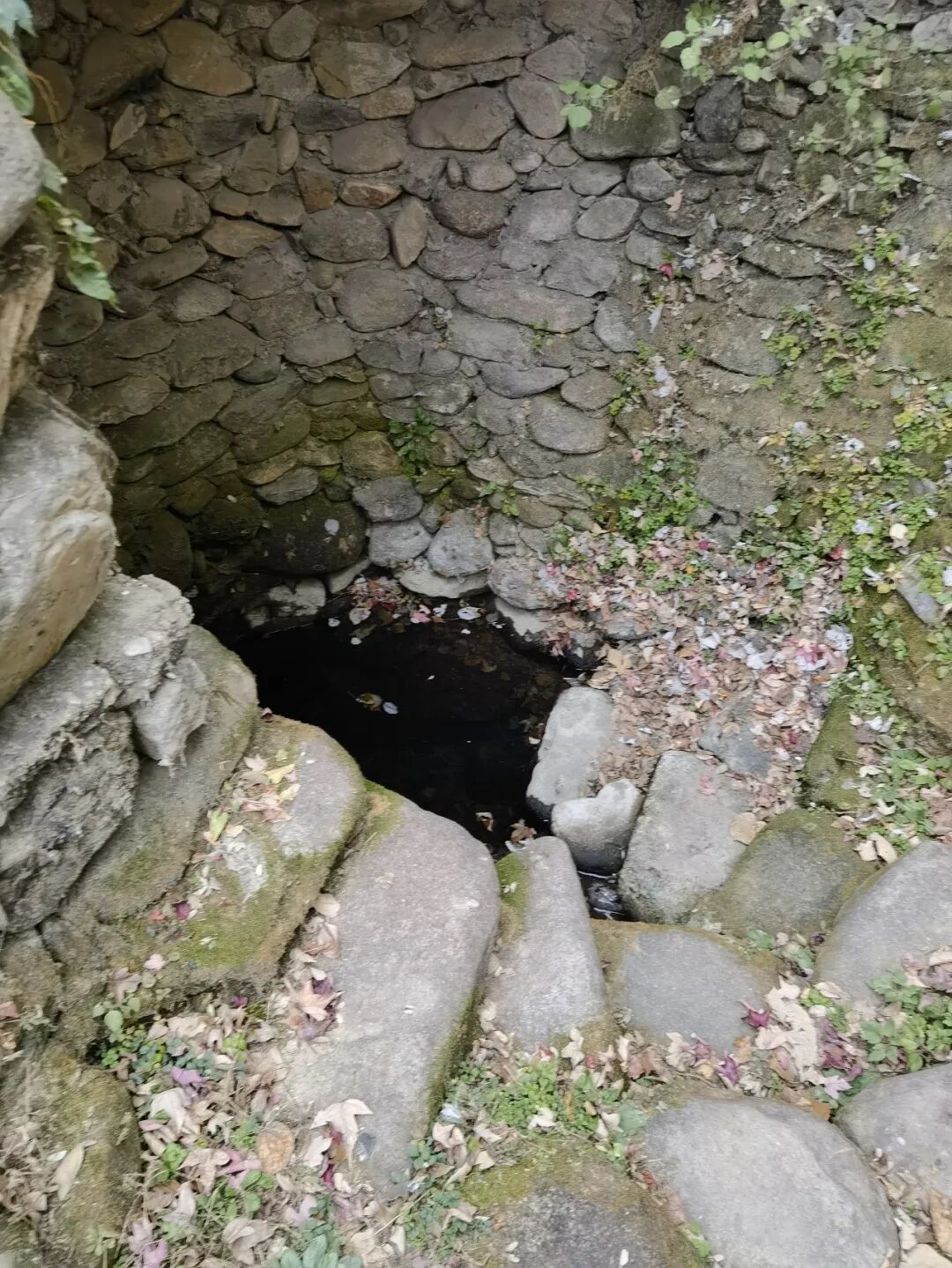 _源泉新村_源泉村属于哪个镇