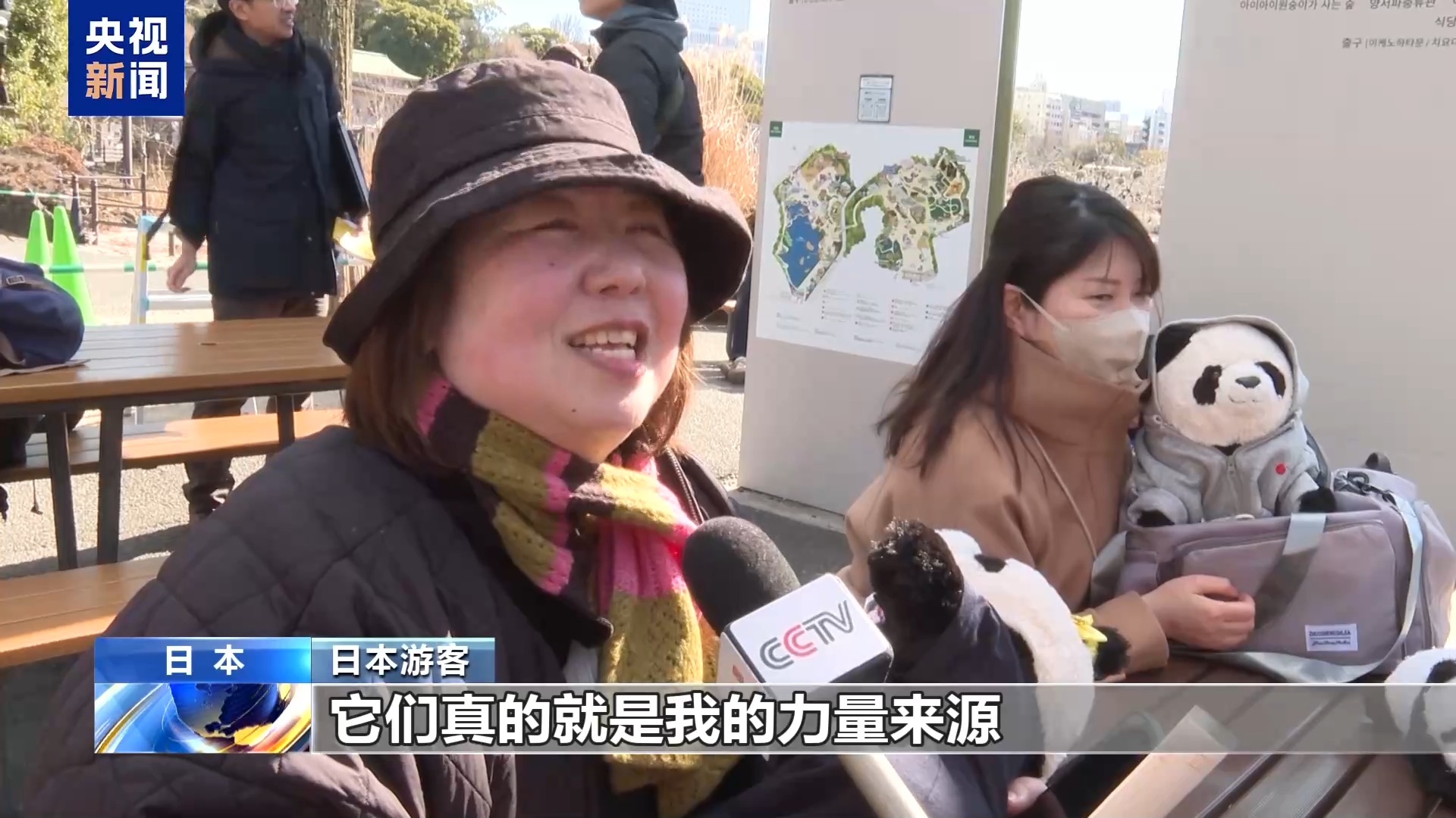 外国人不愿意熊猫回国__大熊猫回国