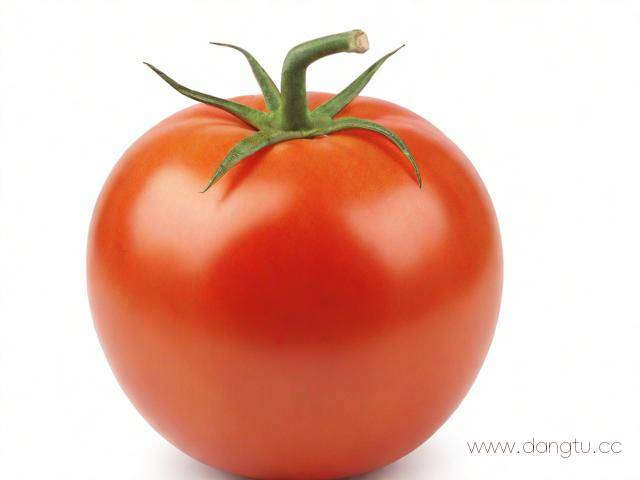 高一应该怎么学才高效,高一应该怎么学才高效 提高成绩快