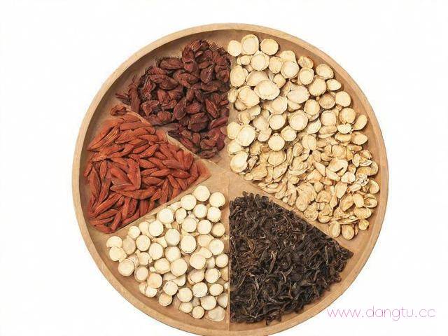 中药二怎么学才能记住,中药二怎么学才牢记