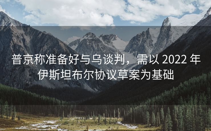 普京称准备好与乌谈判,需以 2022 年伊斯坦布尔协议草案为基础 普京称准备好与乌谈判,需以 2022 年伊斯坦布尔协议草案为基础