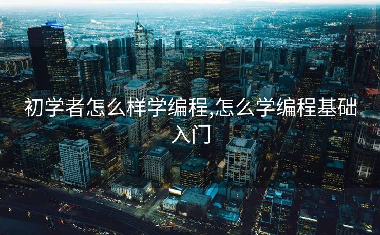 初学者怎么样学编程,怎么学编程基础入门