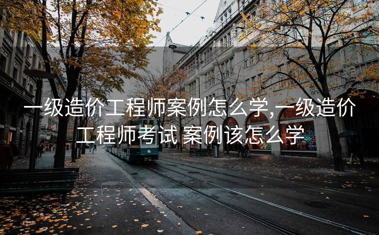 一级造价工程师案例怎么学,一级造价工程师考试 案例该怎么学