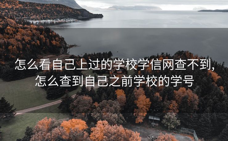 怎么看自己上过的学校学信网查不到,怎么查到自己之前学校的学号