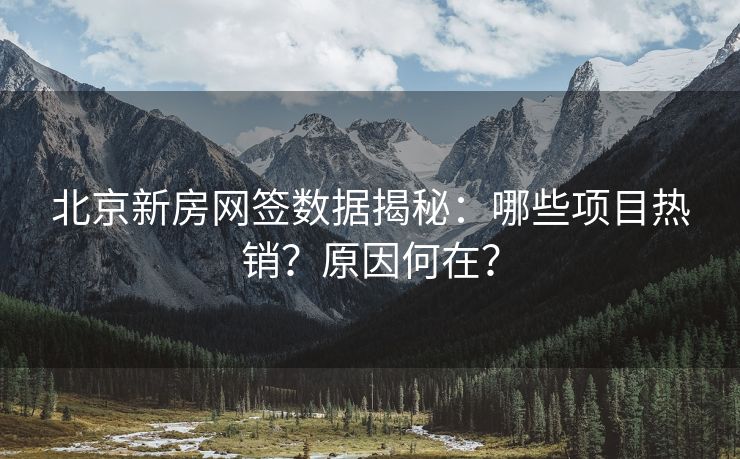 北京新房网签数据揭秘：哪些项目热销？原因何在？