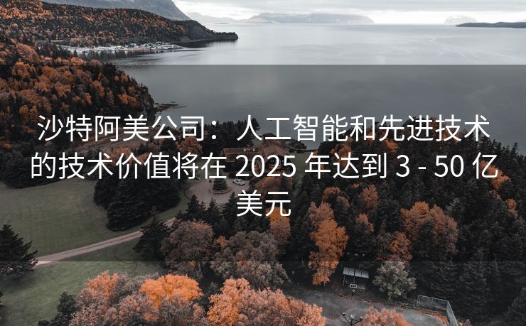 沙特阿美公司:人工智能和先进技术的技术价值将在 2025 年达到 3 - 50 亿美元 沙特阿美公司:人工智能和先进技术的技术价值将在 2025 年达到 3 - 50 亿美元