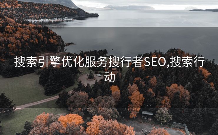 搜索引擎优化服务搜行者SEO,搜索行动