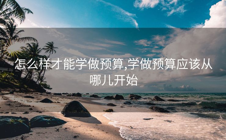 怎么样才能学做预算,学做预算应该从哪儿开始