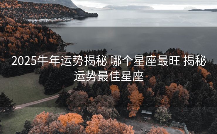 2025牛年运势揭秘 哪个星座最旺 揭秘运势最佳星座