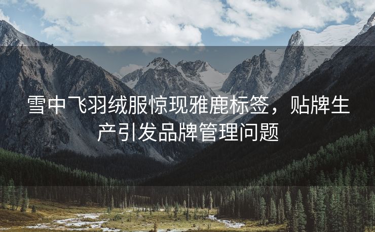 雪中飞羽绒服惊现雅鹿标签，贴牌生产引发品牌管理问题